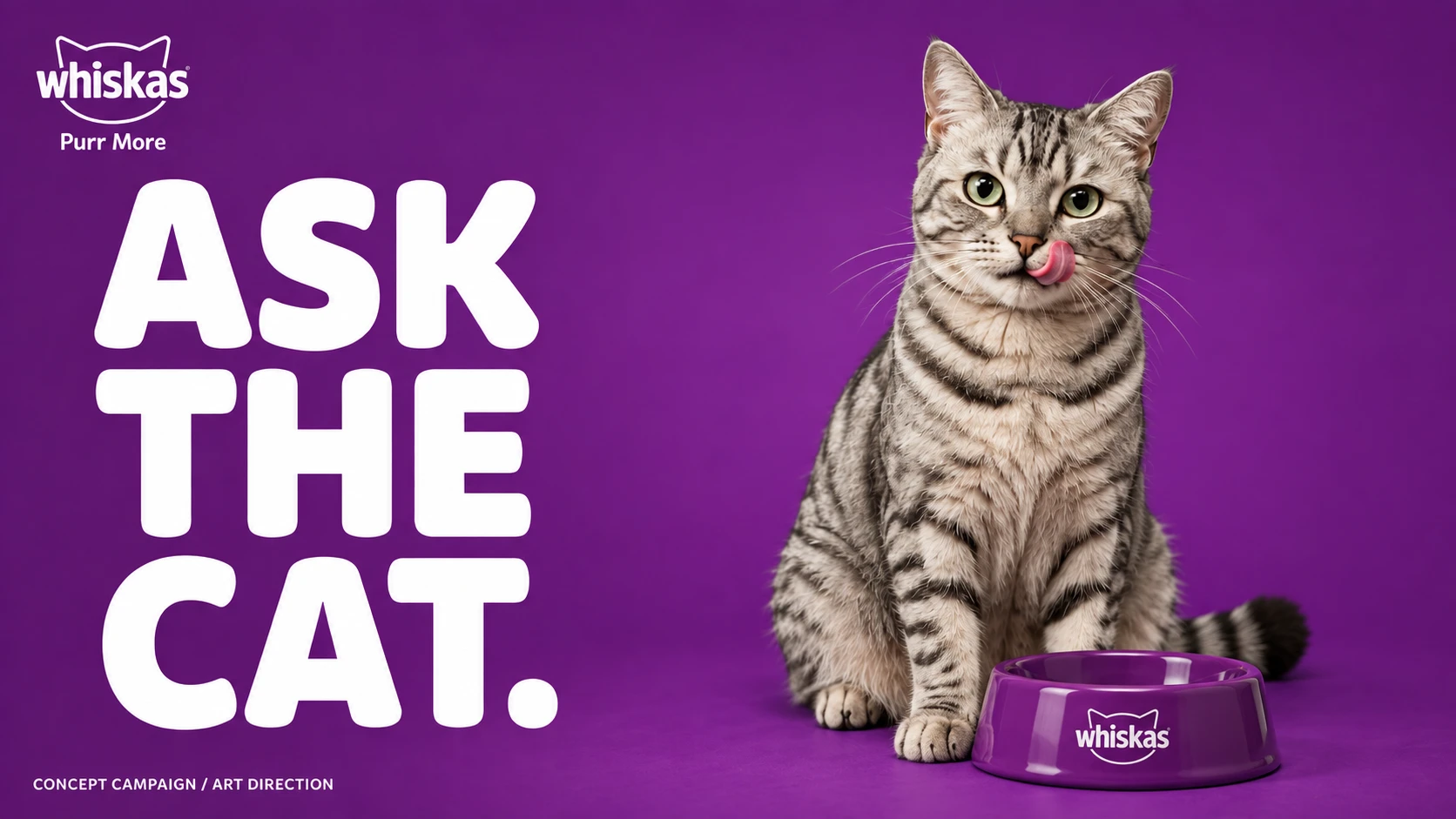 ASK THE CAT.