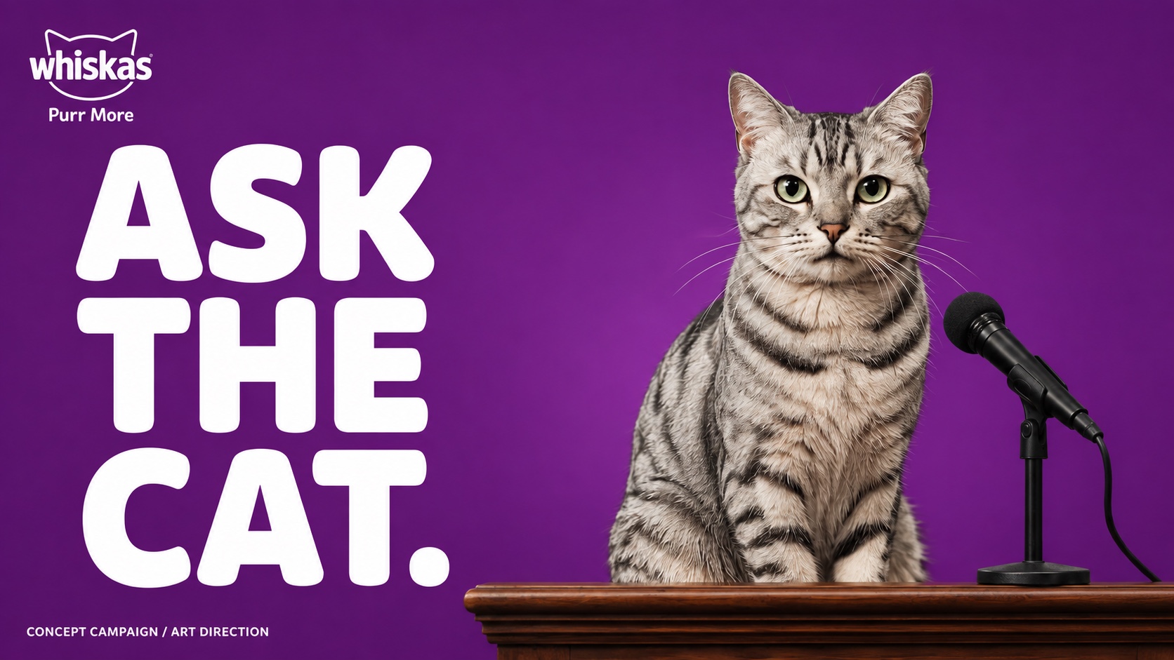 ASK THE CAT.