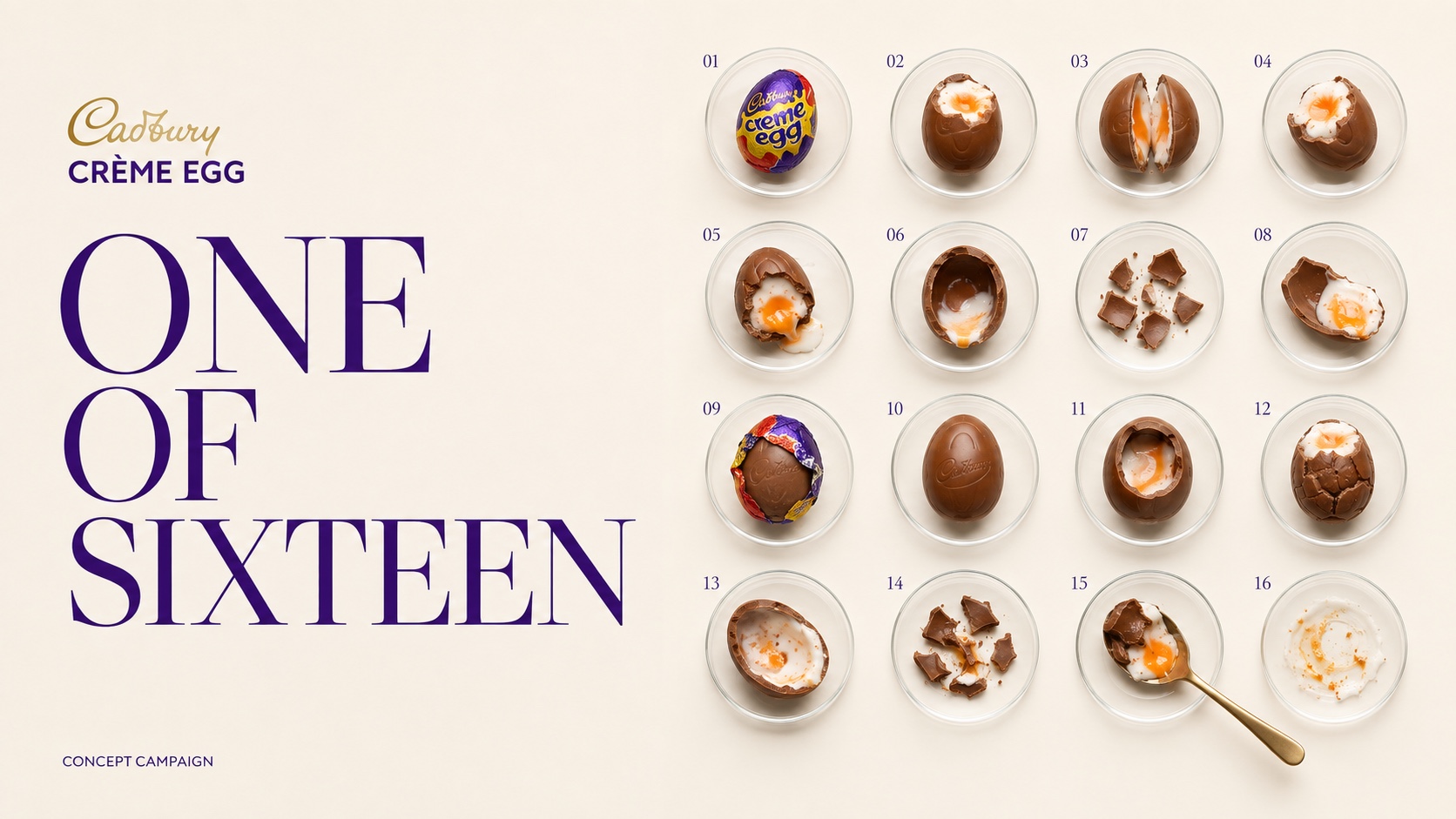 One of Sixteen